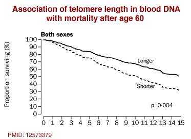Association of telomere length with mortality