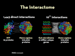 interactome.082.png