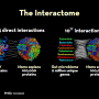 interactome.082.png