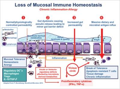 Loss of Mucosal Immune Homeostasis